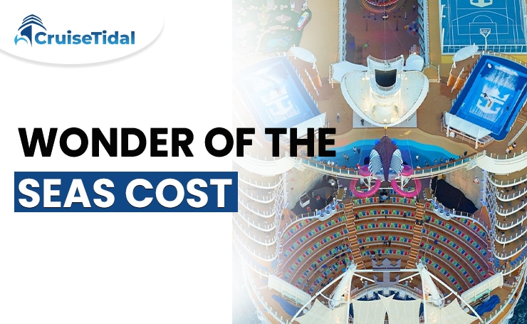 Examples of Potential Costs